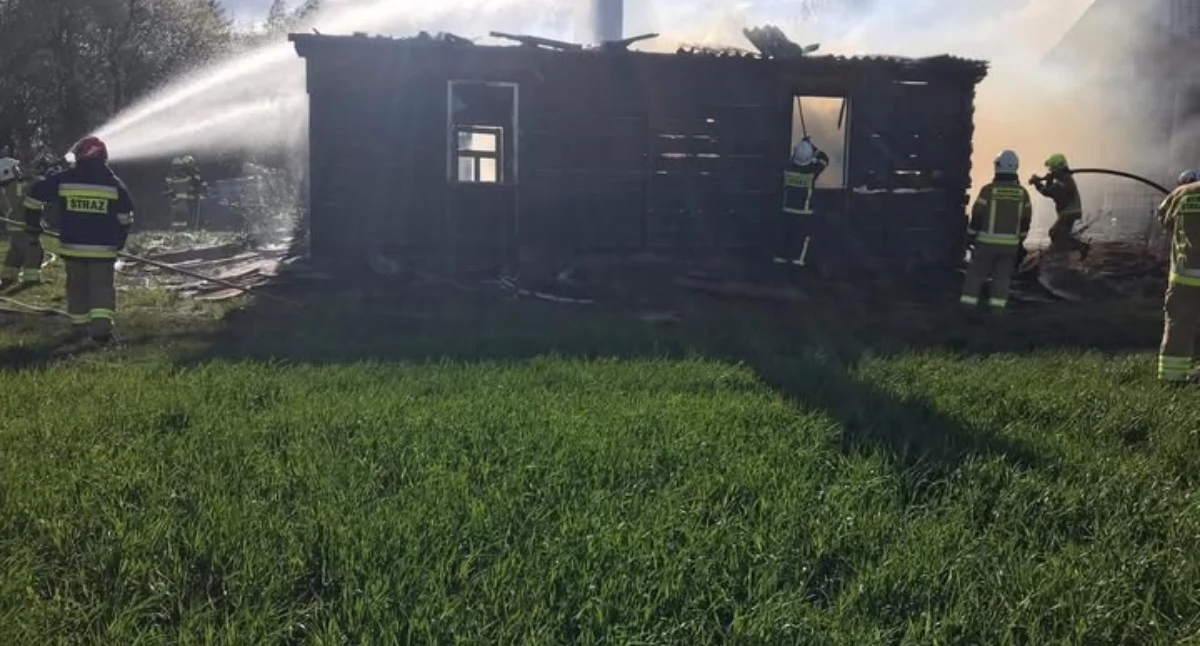 Pożar pustostanu w miejscowości Dąbie: Sześć zastępów straży w akcji