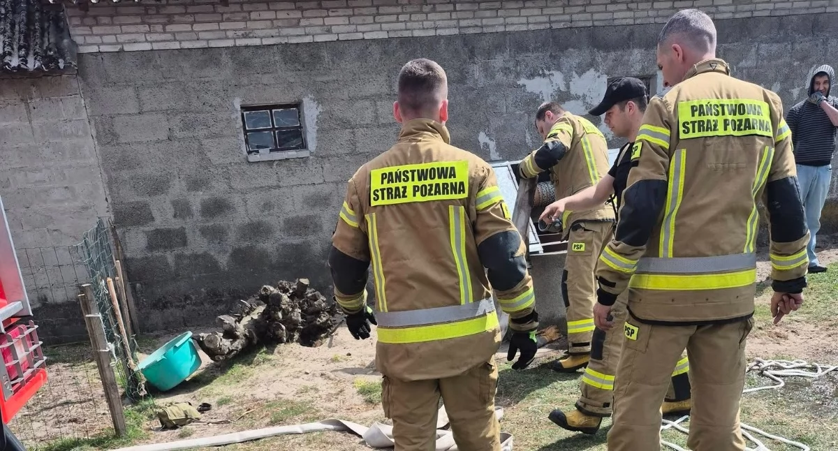 Tragiczna interwencja w Ferdynandowie. Strażacy walczyli o życie kotów uwięzionych w studni