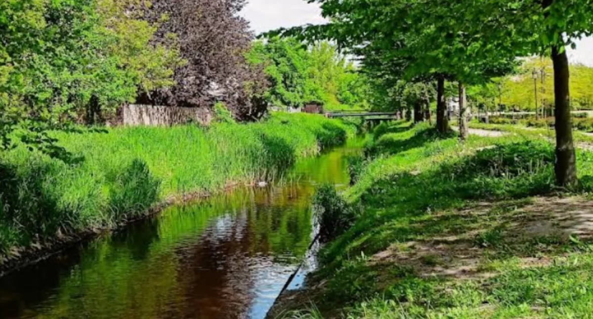 Służby interweniowały w sprawie Krzny. Powodem mętnej wody susza, a nie ścieki