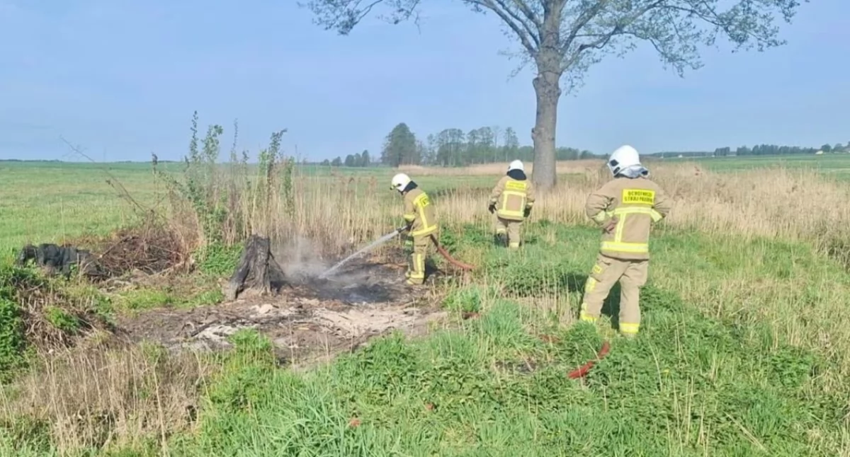 Interwencja OSP KSRG Tuchowicz w Anoninie. Strażacy opanowali pożar traw