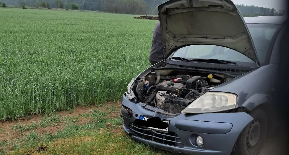 Kolizja z sarną pod Borowiną. Strażacy z Jeleńca w akcji