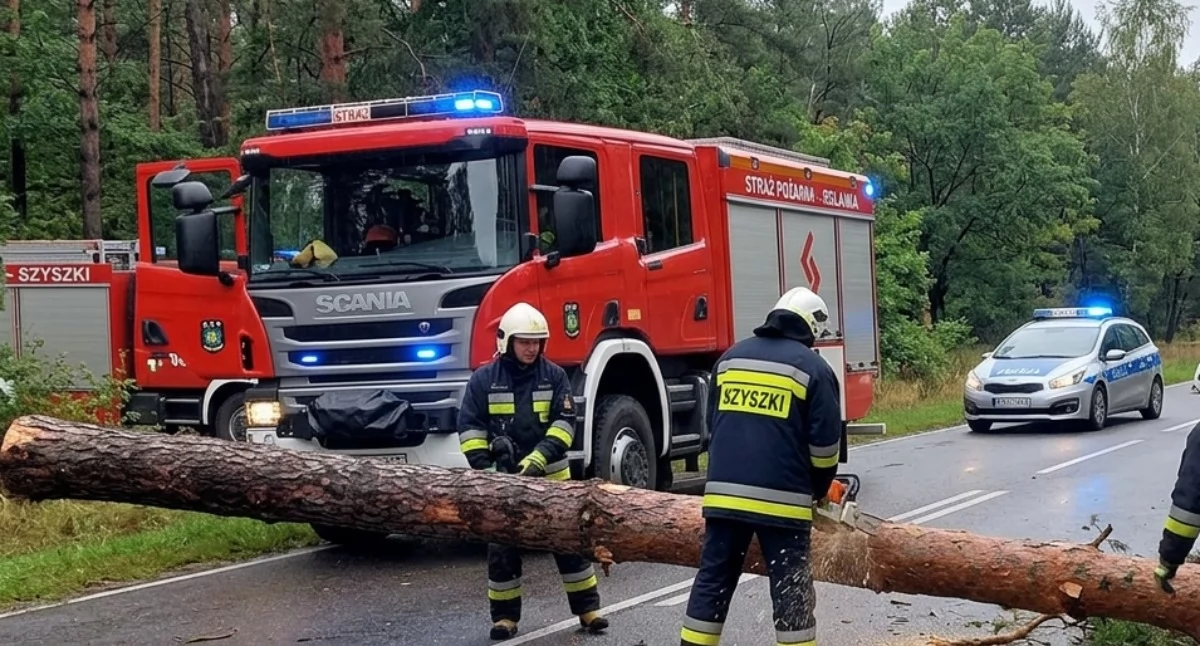 Groza w Starych Kobiałkach! Drzewo runęło na drogę, o krok od dramatu
