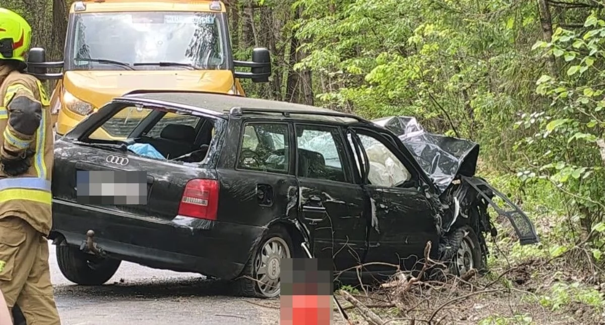 Zostawił rannego kolegę w rozbitym Audi i uciekł. Sprawdź, co grozi kierowcy