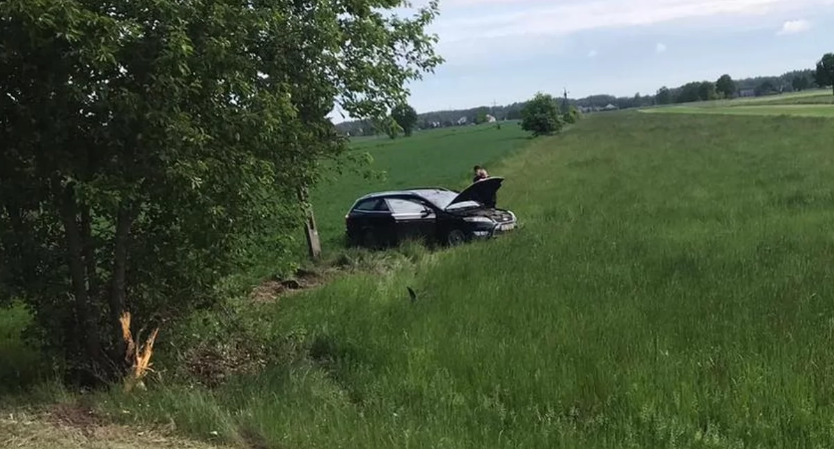 Groźne dachowanie w Aleksandrowie. Ford ściął drzewo i wpadł na łąkę