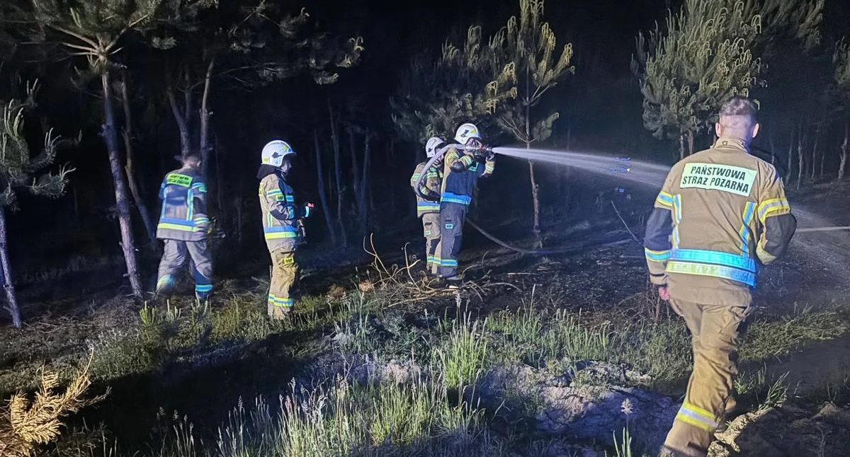 Nocny pożar nieużytków w Woli Okrzejskiej. Interweniowały cztery zastępy