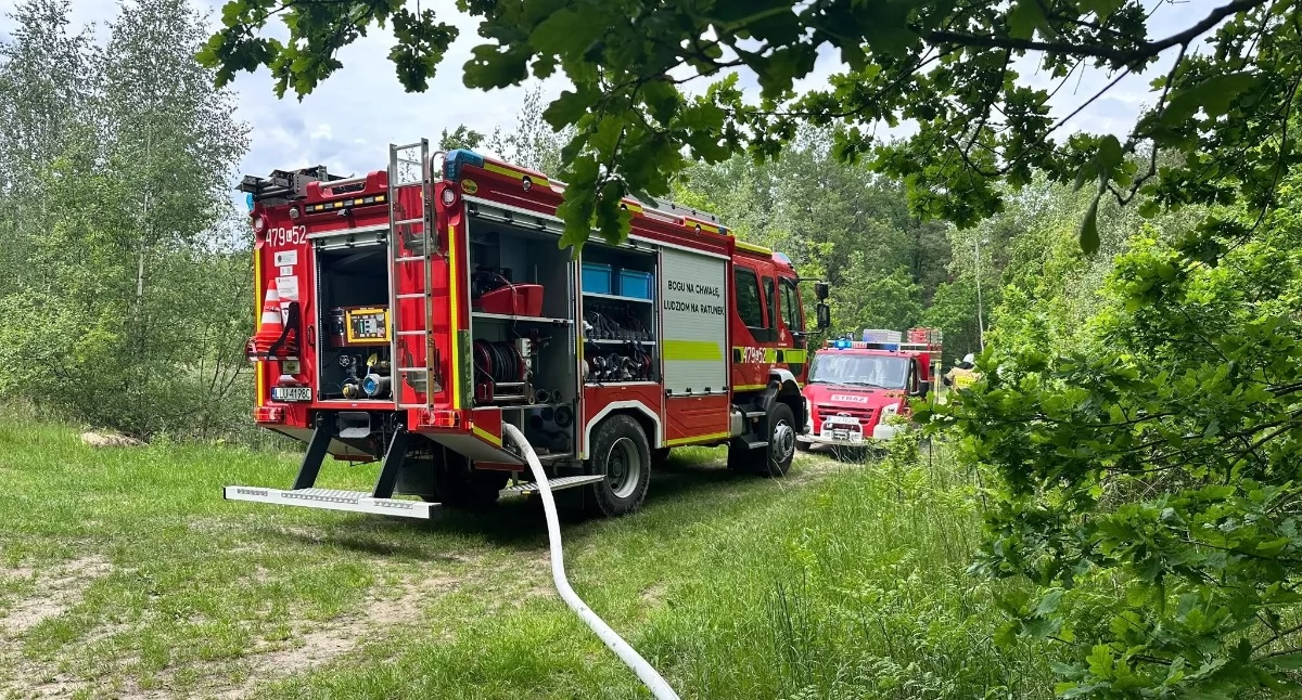 „Czerwony kur” w łukowskich lasach. Seria pożarów w jeden weekend – strażacy biją na alarm!