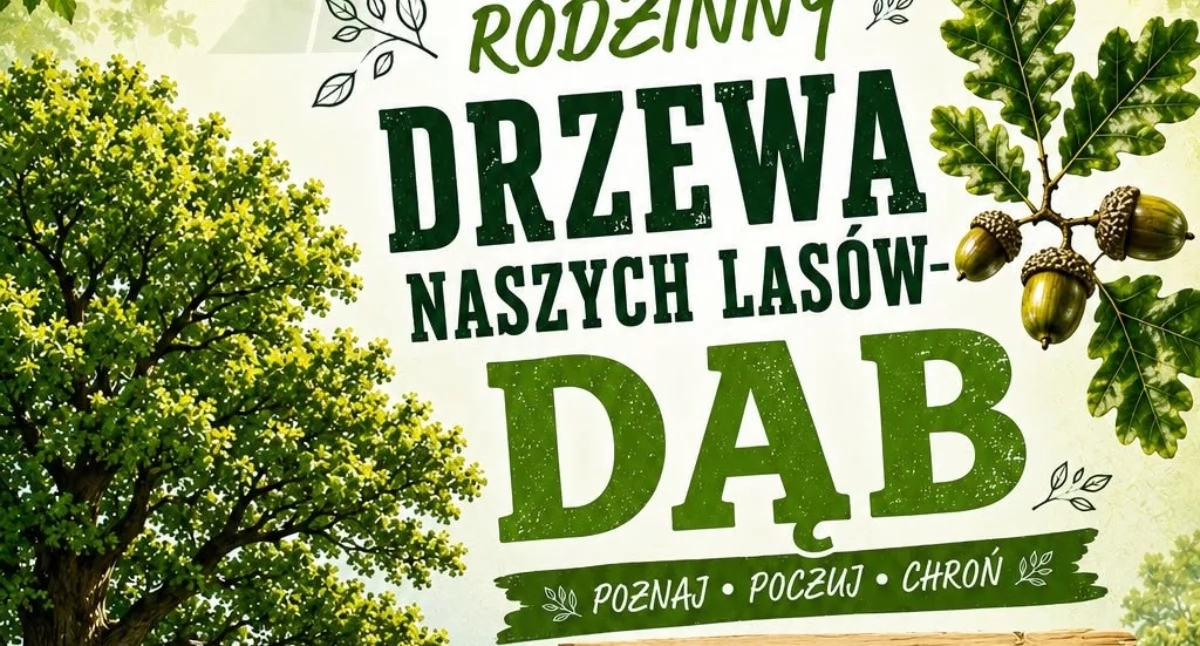Druid czeka w lesie. W niedzielę Nadleśnictwo Łuków otwiera bramy na festyn o dębie