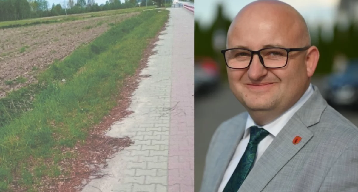 Chwasty, piach i wstyd. Radny Artur Czubaszek walczy o porządek na ciągu pieszo-rowerowym przy Międzyrzeckiej