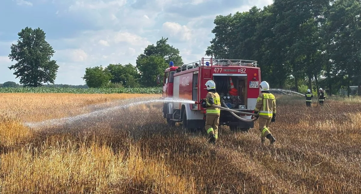 Ogień w Zalesiu. Wieczorna akcja strażaków na nieużytkach
