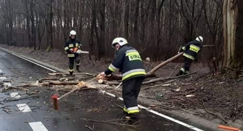 Wichury nad powiatem. Strażacy uwijali się jak w ukropie 