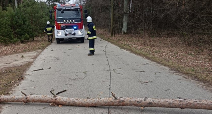 Orkan Eunice nie dał strażakom z OSP Dąbie spokojnej soboty 