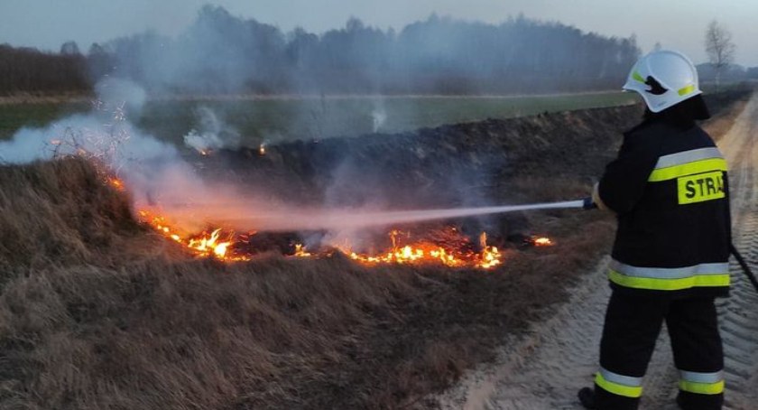 Bezmyślność i głupota. Zaczęło się wiosenne wypalanie traw. W akcji OSP Dąbie