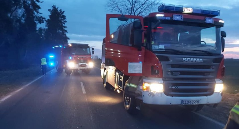 Zderzenie Busa z jeleniem. Są ranni 