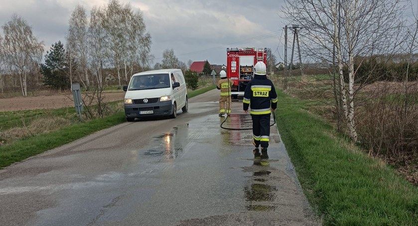 Plama na drodze. Interweniowało OSP Dąbie 