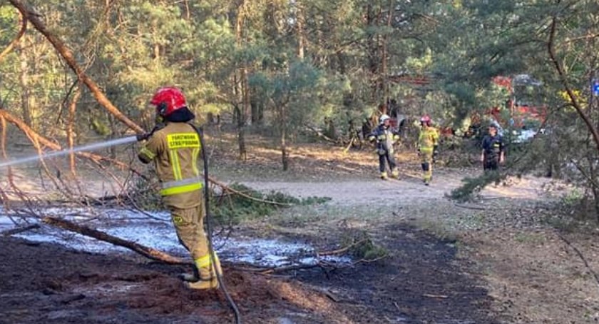 Znów pożar lasu. Interwencja strażaków ze Świderek i Łukowa 