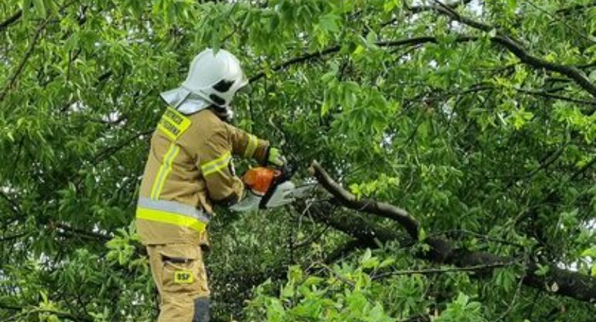 Burza nad powiatem. Powalone konary na ważnej drodze 