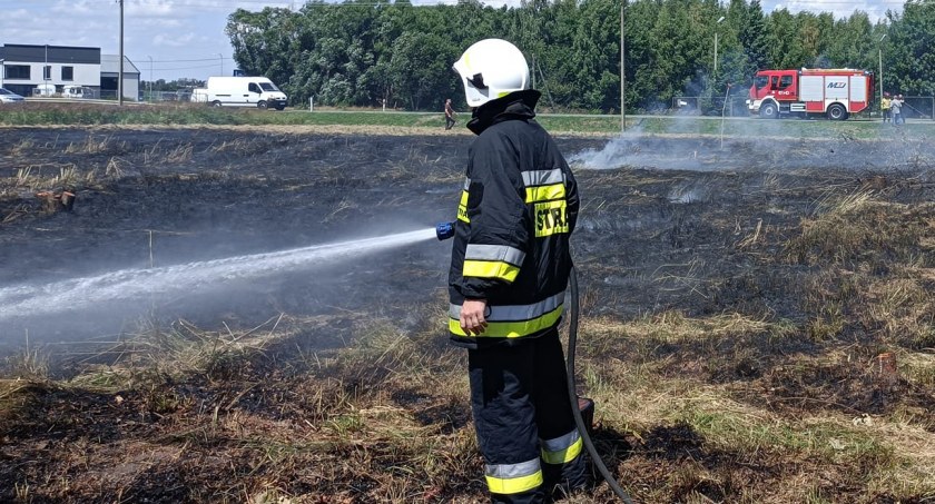 Paliły się nieużytki w Łukowie. Strażacy mieli dużo pracy (ZDJĘCIA)