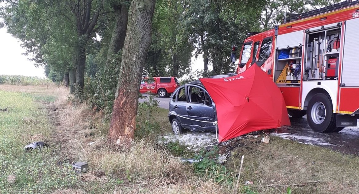 Auto uderzyło w drzewo. Citroen zapalił się 