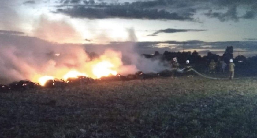Kłęby dymu pod Łukowem. W akcji JRG Łuków i OSP Dąbie (ZDJĘCIA)