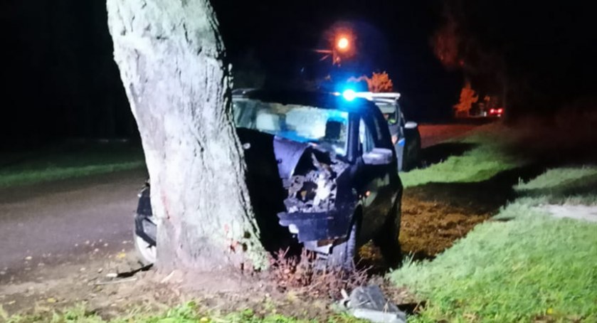 Auto uderzyło w drzewo. Jedna osoba poszkodowana