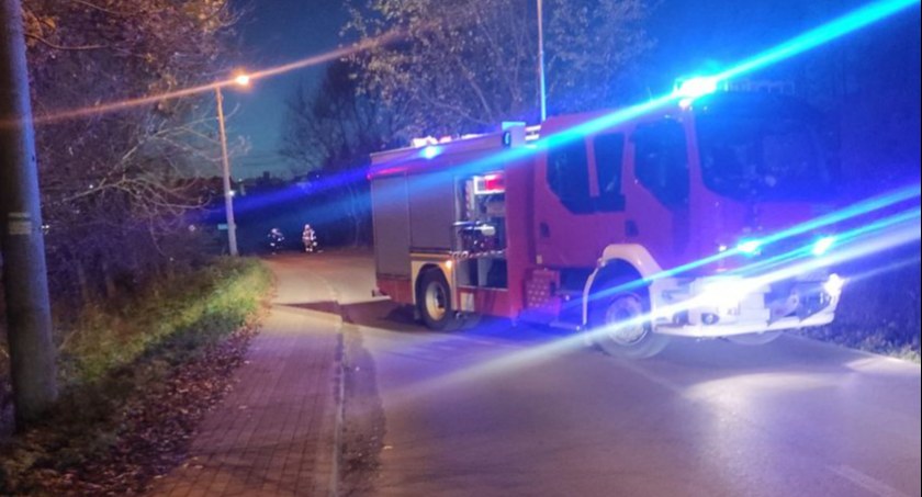 Drzewo nad ulicą w Stoczku Łukowskim. To wina bobrów 