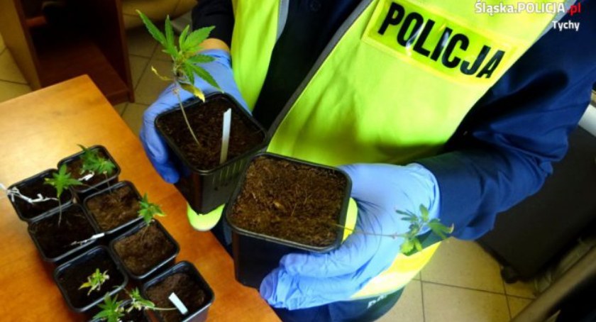 Pijani na drogach powiaty. Dwóch 15-latków wpadło z narkotykami 