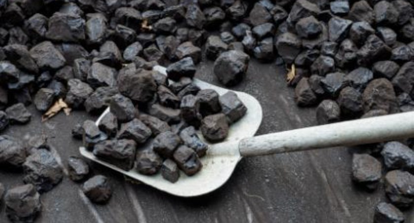 W Wojcieszkowie też brakuje węgla. 50 ton zeszło jak świeże bułeczki 