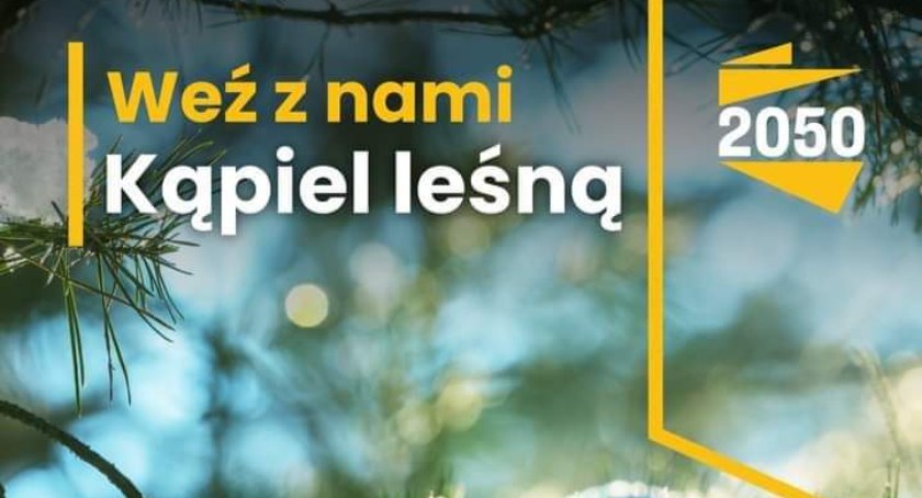 Stowarzyszenie Polska 2050 zaprasza na Kąpiel Leśną w ramach walki z depresją 