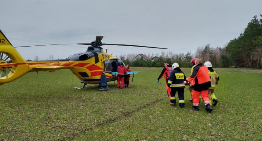 Tragedia podczas wycinki. Drzewo przygniotło drwala! (ZDJĘCIA)