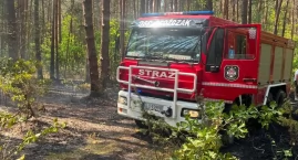 Pożar lasu w miejscowości Orle Gniazdo. Strażacy w akcji