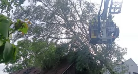 Wiatr siał spustoszenie w gminie Stanin. Strażacy musieli użyć specjalistycznego sprzętu