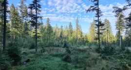 Z pola do lasu. Mieszkańcy powiatu łukowskiego coraz&hellip;