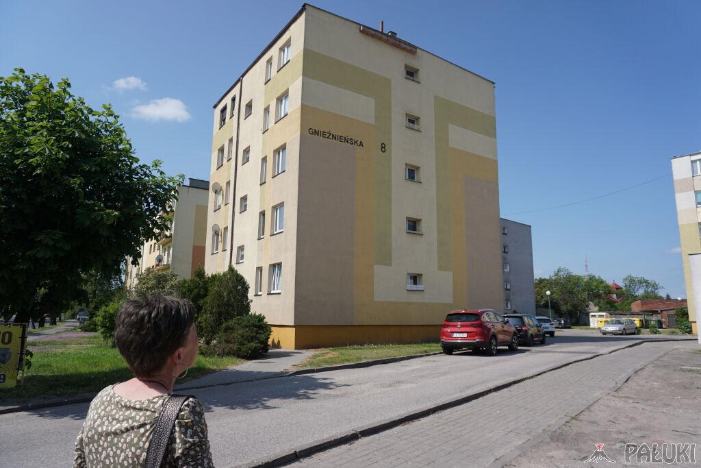 Coraz więcej budek lęgowych dla jerzyków w Janowcu Wlkp. 