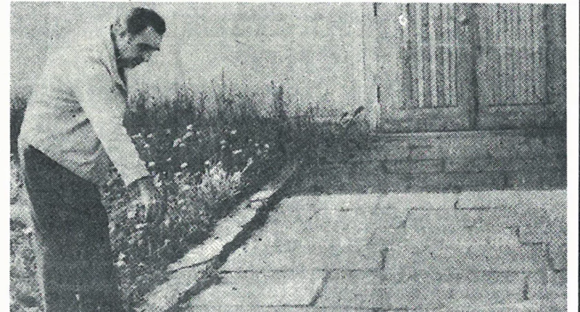 Pozostały tylko maceby