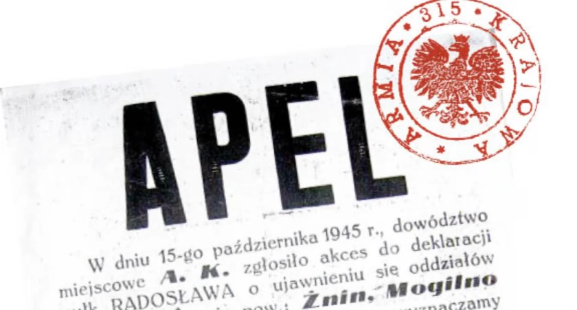 Obwód Pałuki 315 - od konspiracji do ujawnienia
