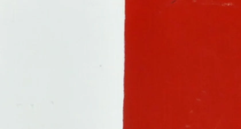Dąb pamięci dla Mariana Brossa