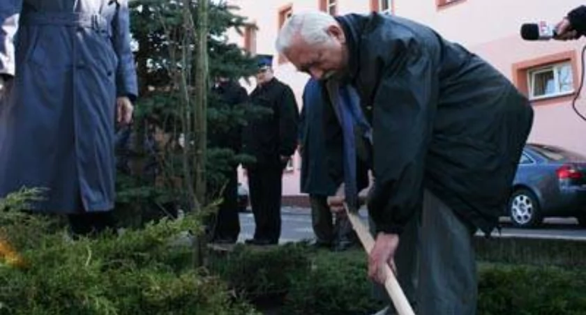 Pierwszy dąb został posadzony w Szubinie