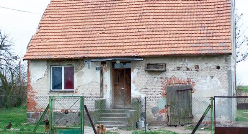 Pałuczanin w niezwykłym filmie Wielka cisza
