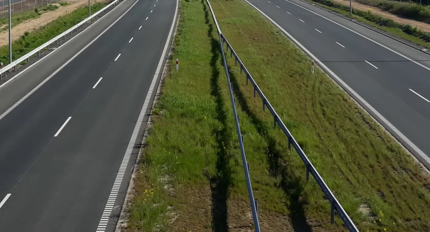 Świnie na płytkach, Polki na betonie
