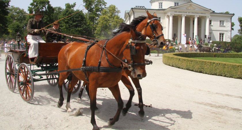 Pałac Lubostroń. Konkurs pojazdów konnych w stylu retro