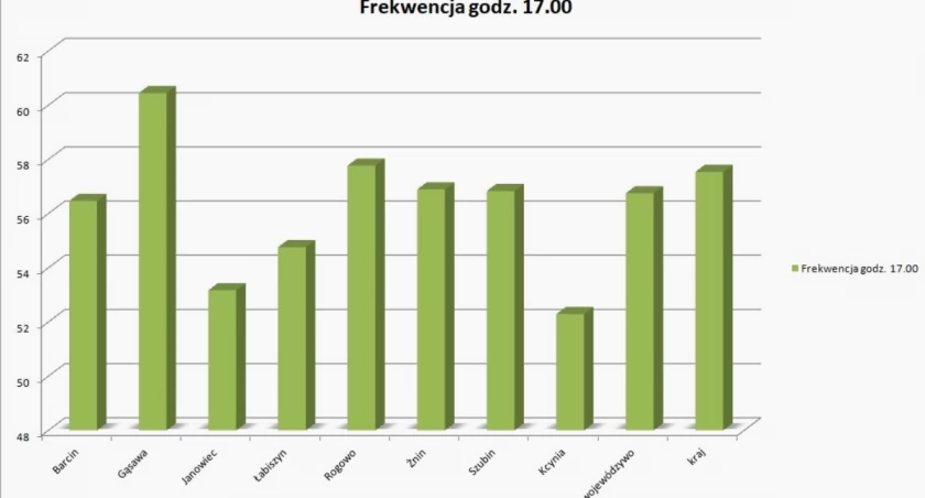 Frekwencja wyborcza na Pałukach. Najgorsza w Kcyni, najlepsza w Gąsawie