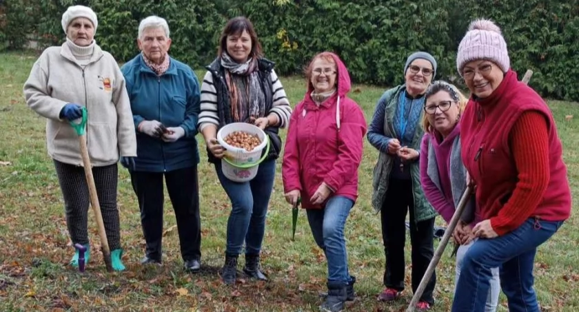 W Dziewierzewie wiosną będzie Dolina Chochołowska (zdjęcia)