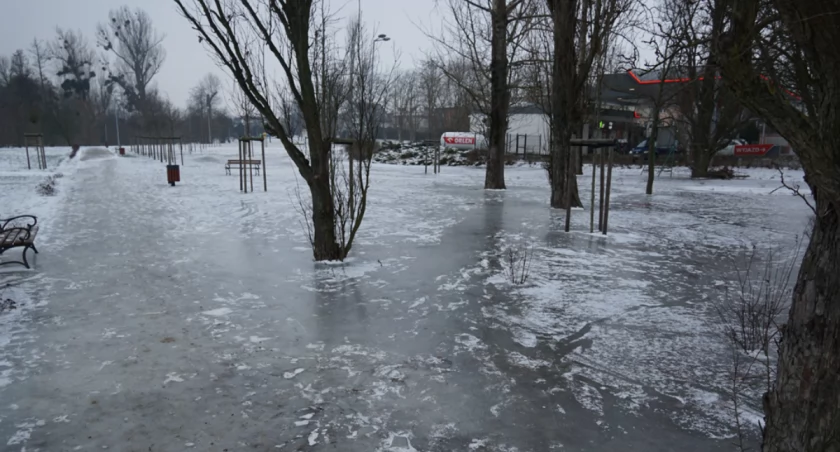 Zalewany park przy ul. Sienkiewicza to celowe podejście ratusza. Pokłonili się naturze