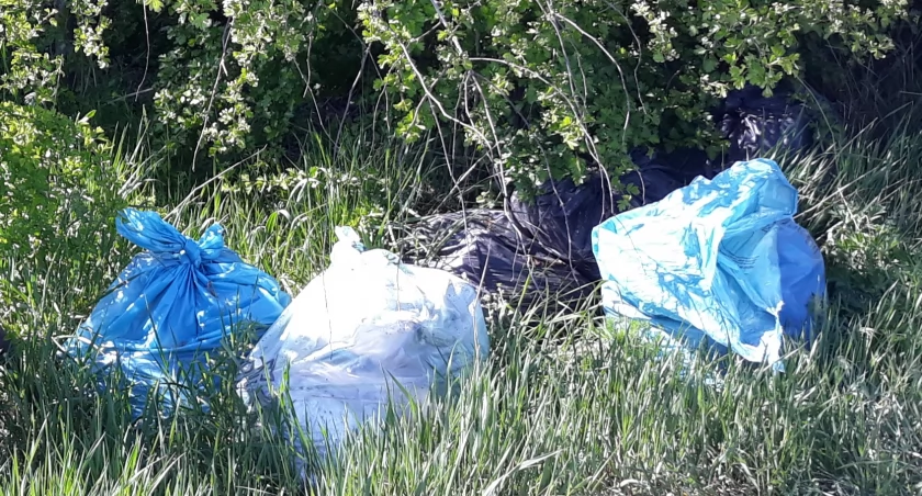 Pojemniki na śmieci nie wrócą na swoje miejsce