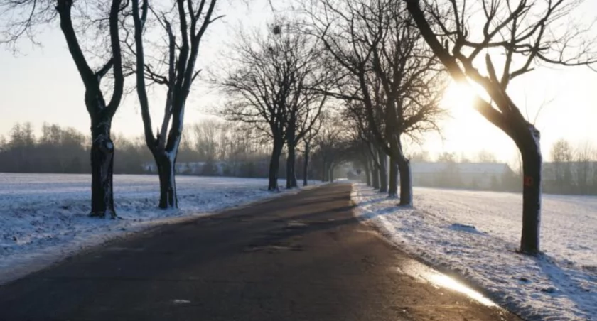 Gąsawa - Biskupin: ścieżka rowerowa czy pieszo-rowerowa?