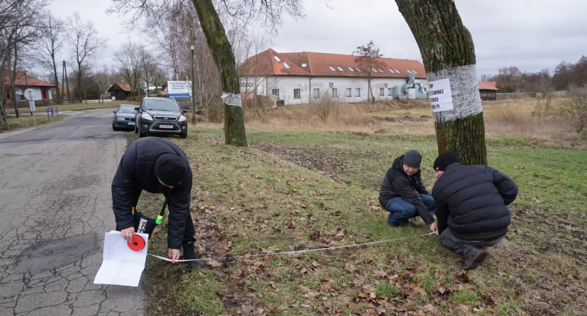 Zarząd Dróg Powiatowych nie ustępuje  - poprosił o opinię ornitologa 