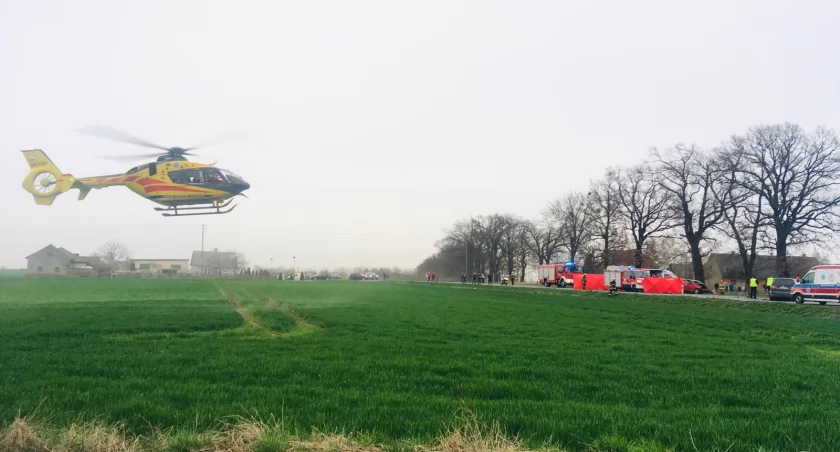 Czołowe zderzenie samochodów w okolicach Turzyna 