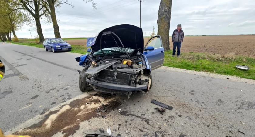 Uczestnicy wypadku w Brudzyniu trafili do szpitala