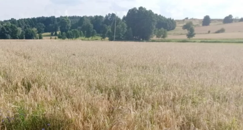Nowe informacje związane z dopłatami