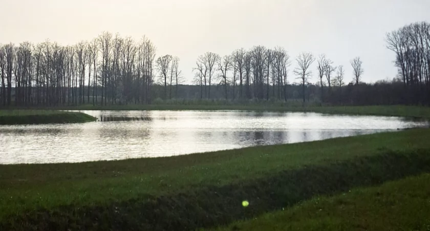Czy retencja między Wapiennem a Szczepankowem zakłóciła naturalny spływ wody z pola?